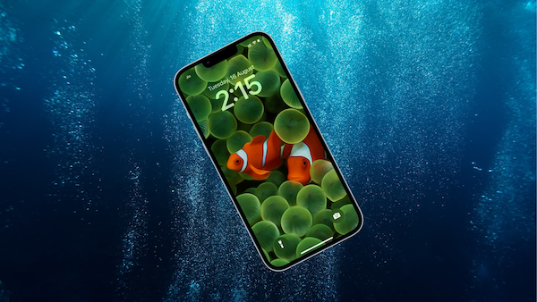Bạn nên có những biện pháp khắc phục kịp thời khi iPhone rơi vào nước